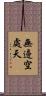 無邊空處天 Scroll