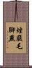 煙腹毛腳燕 Scroll