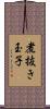 煮抜き玉子 Scroll