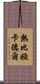 熱比婭·卡德爾 Scroll