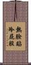 熱臉貼冷屁股 Scroll