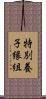 特別養子縁組 Scroll