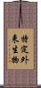 特定外来生物 Scroll