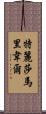 Teresa Maribel Scroll