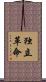 独立革命 Scroll