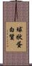 球狀蛋白質 Scroll