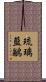 琉璃藍鶲 Scroll