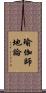 瑜伽師地論 Scroll