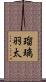 瑠璃羽太 Scroll