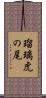 瑠璃虎の尾 Scroll