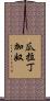 瓜拉丁加奴 Scroll