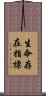 生命存在指標 Scroll