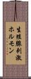 生殖腺刺激ホルモン Scroll