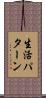 生活パターン Scroll