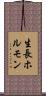生長ホルモン Scroll