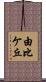 由比ケ丘 Scroll