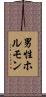 男性ホルモン Scroll
