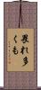 畏れ多くも Scroll