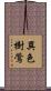 異色樹鶯 Scroll