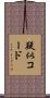 疑似コード Scroll