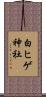 白ヒゲ神社 Scroll