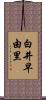 白井早由里 Scroll