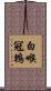 白喉冠鵯 Scroll