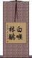 白喉林鶲 Scroll