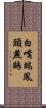 白嘴端鳳頭燕鷗 Scroll