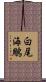 白尾海鵰 Scroll