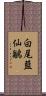白尾藍仙鶲 Scroll