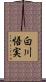 白川悟実 Scroll