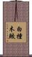 白撞木鮫 Scroll