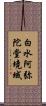 白水阿弥陀堂境域 Scroll