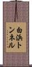 白浜トンネル Scroll