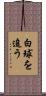 白球を追う Scroll