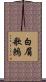 白眉歌鶇 Scroll