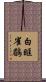 白眶雀鶥 Scroll