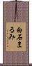 白石まるみ Scroll