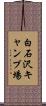 白石沢キャンプ場 Scroll