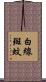 白線斑蚊 Scroll