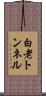 白老トンネル Scroll