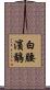 白腰濱鷸 Scroll