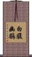 白腹幽鶥 Scroll