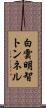 白雲明智トンネル Scroll