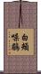 白頰噪鶥 Scroll