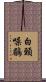 白頸噪鶥 Scroll