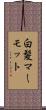 白髪マーモット Scroll