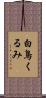 白鳥くるみ Scroll