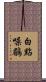白點噪鶥 Scroll